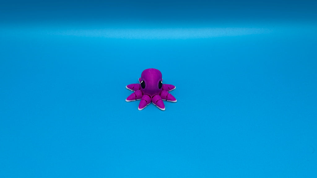 Octopus