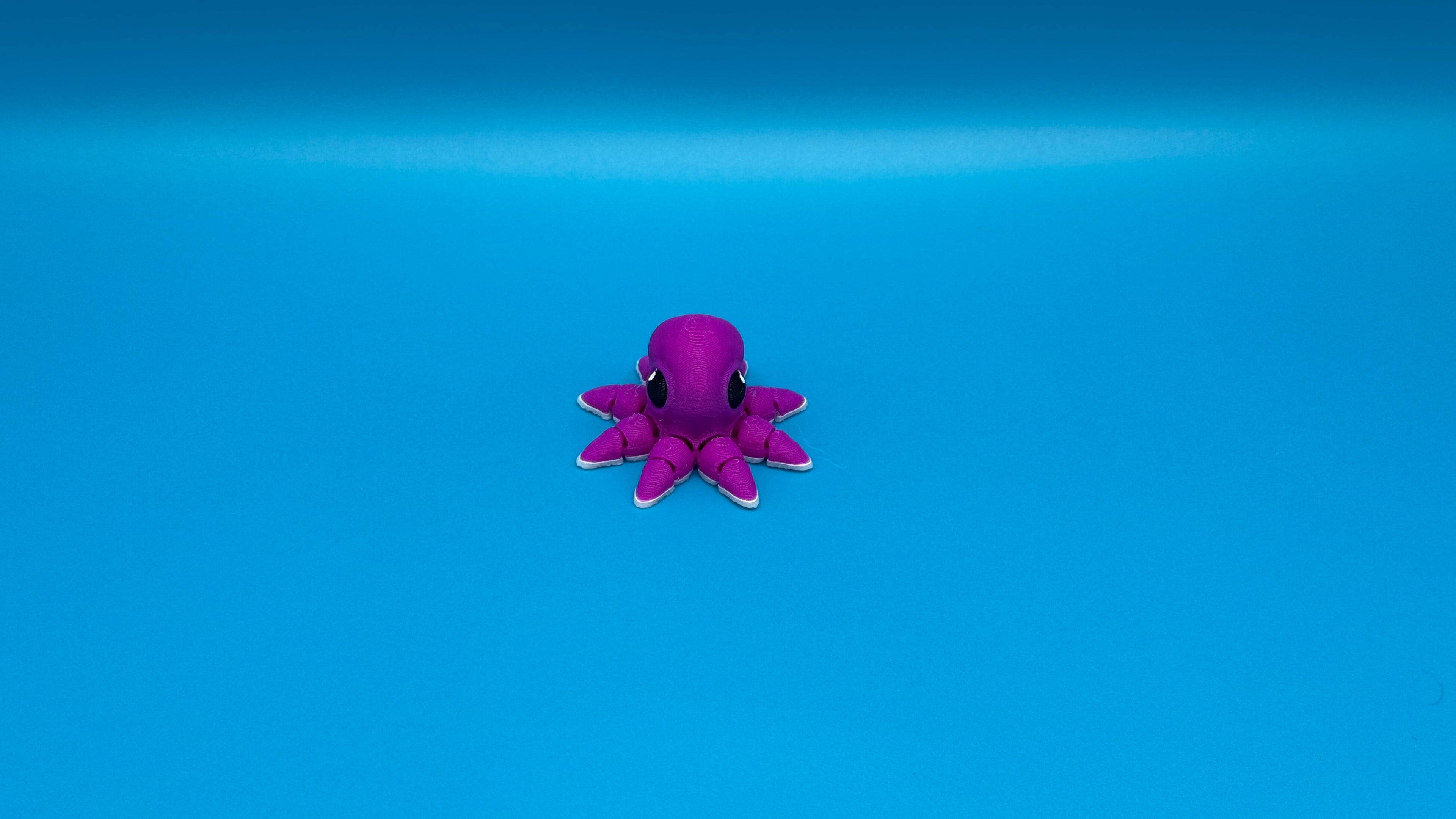 Octopus