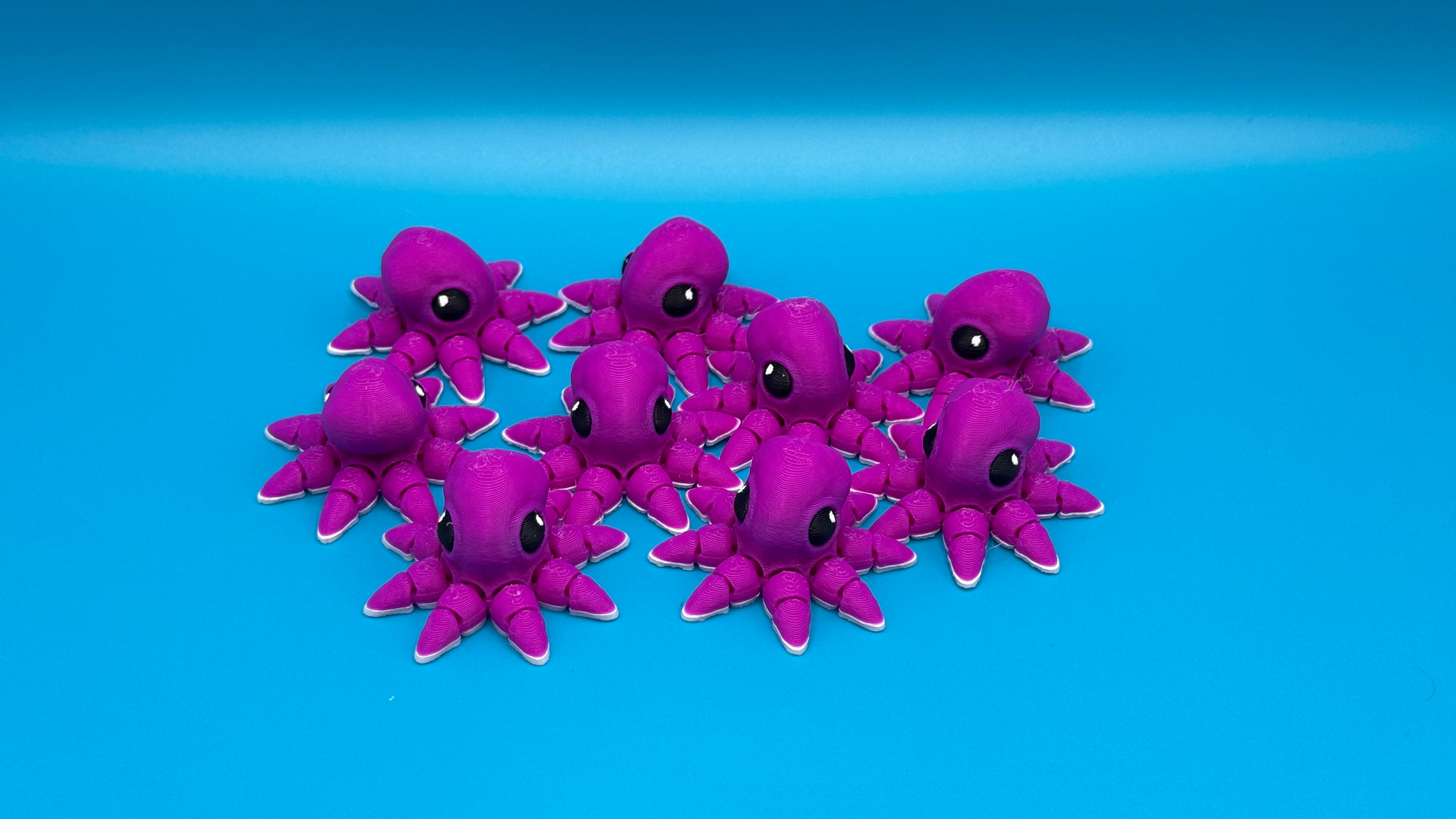 Octopus