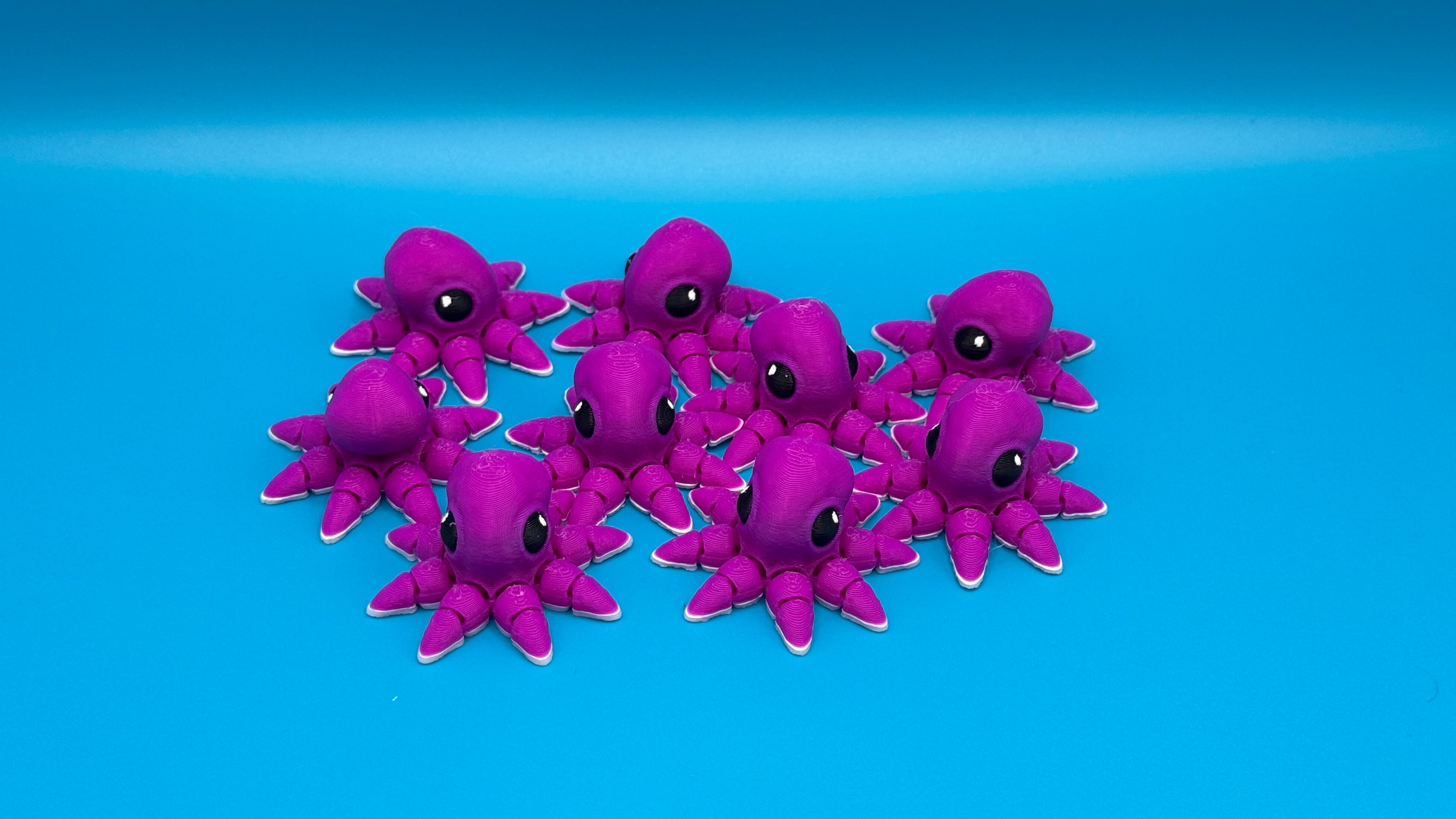 Octopus