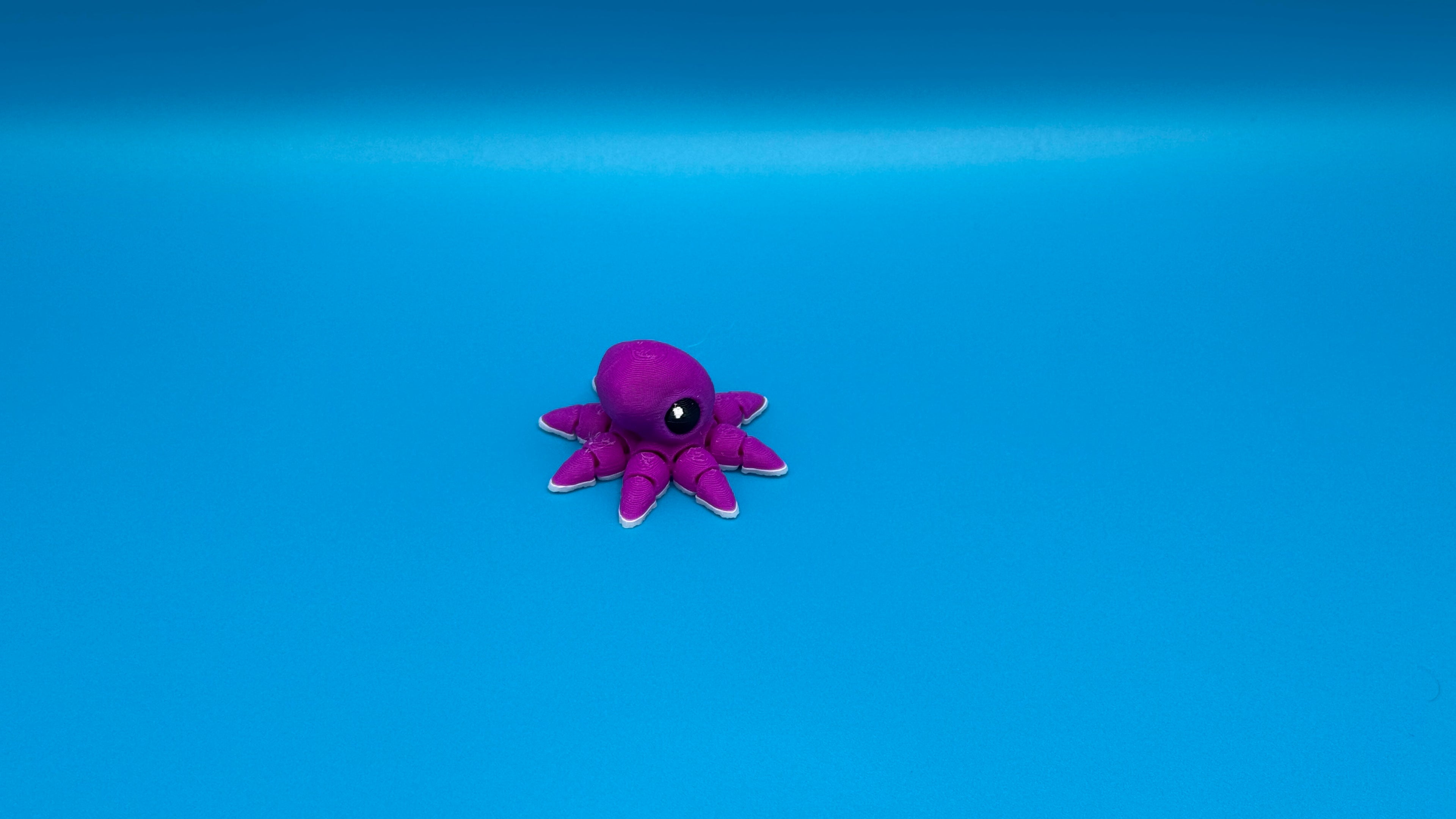 Octopus