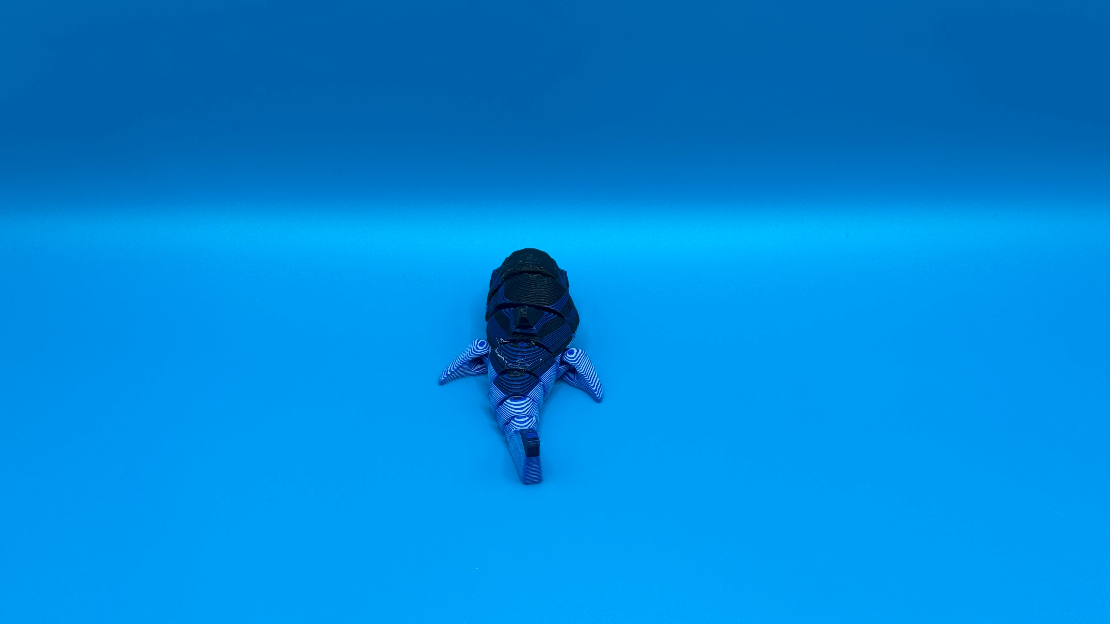 Imperfect Sharks