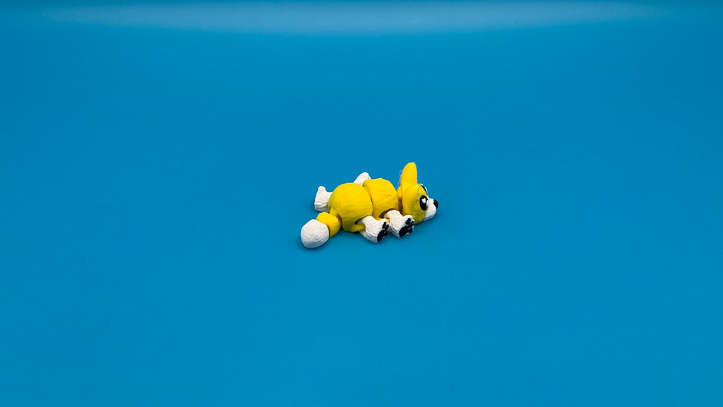 Corgi