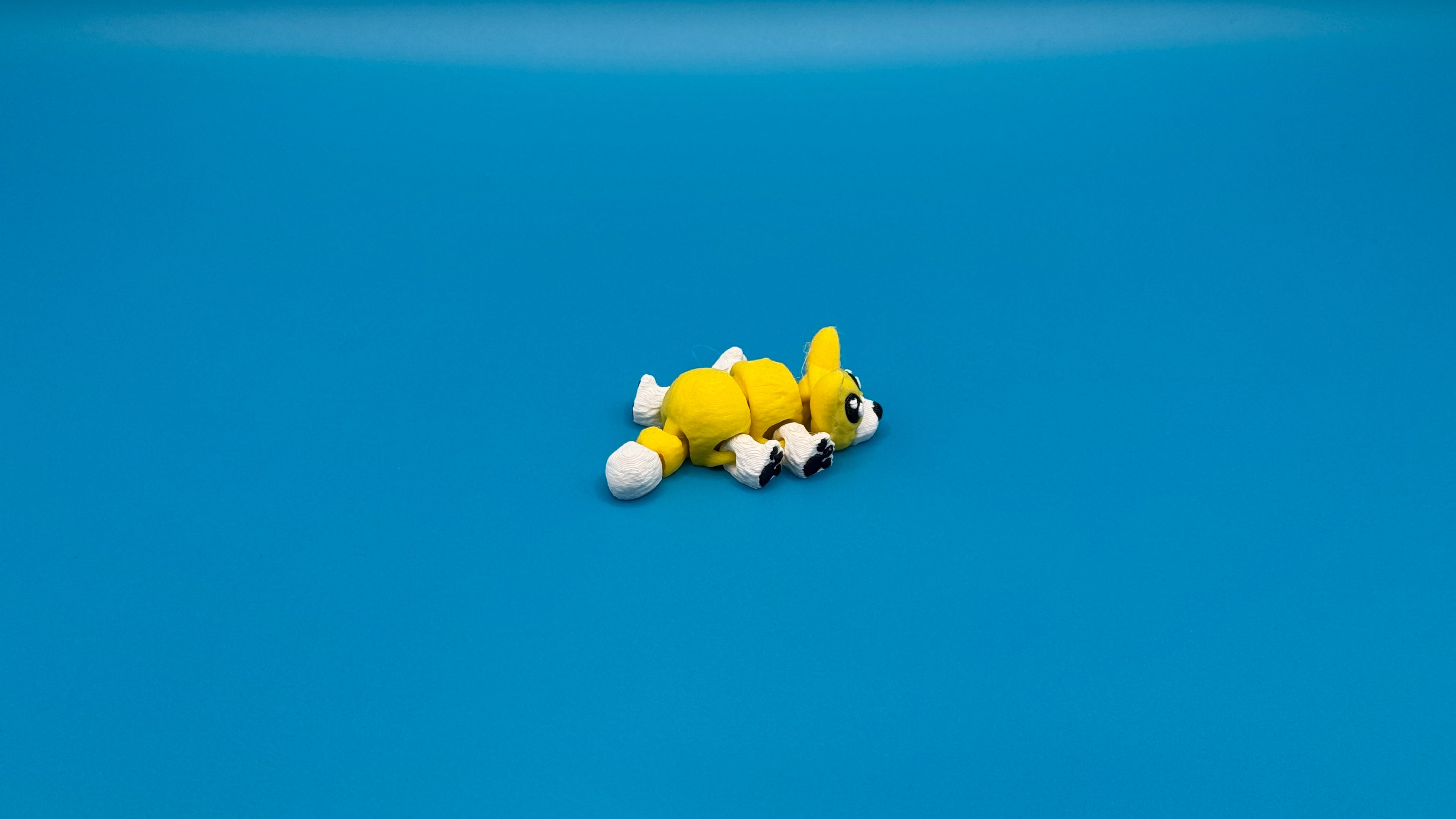 Corgi