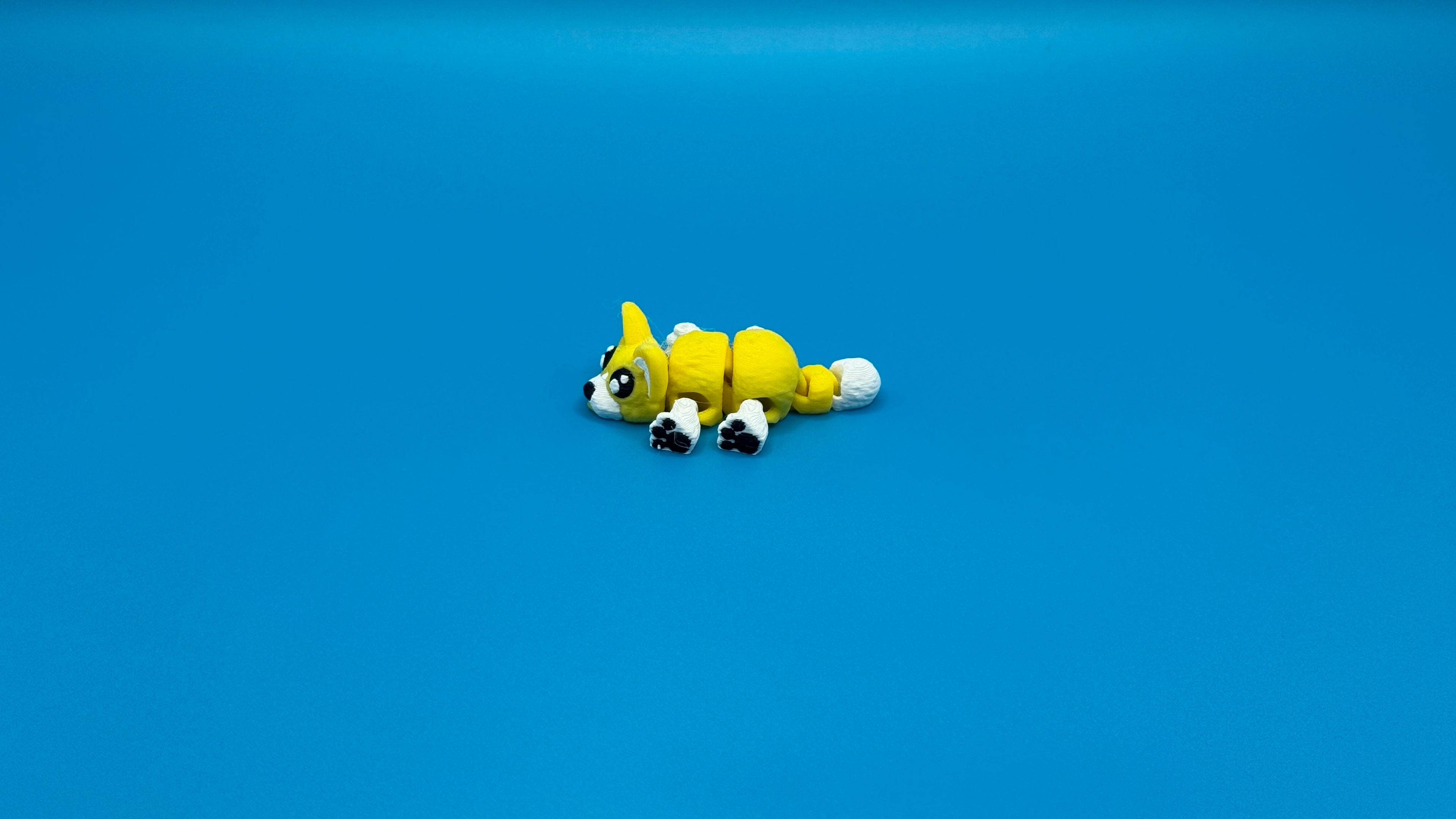 Corgi