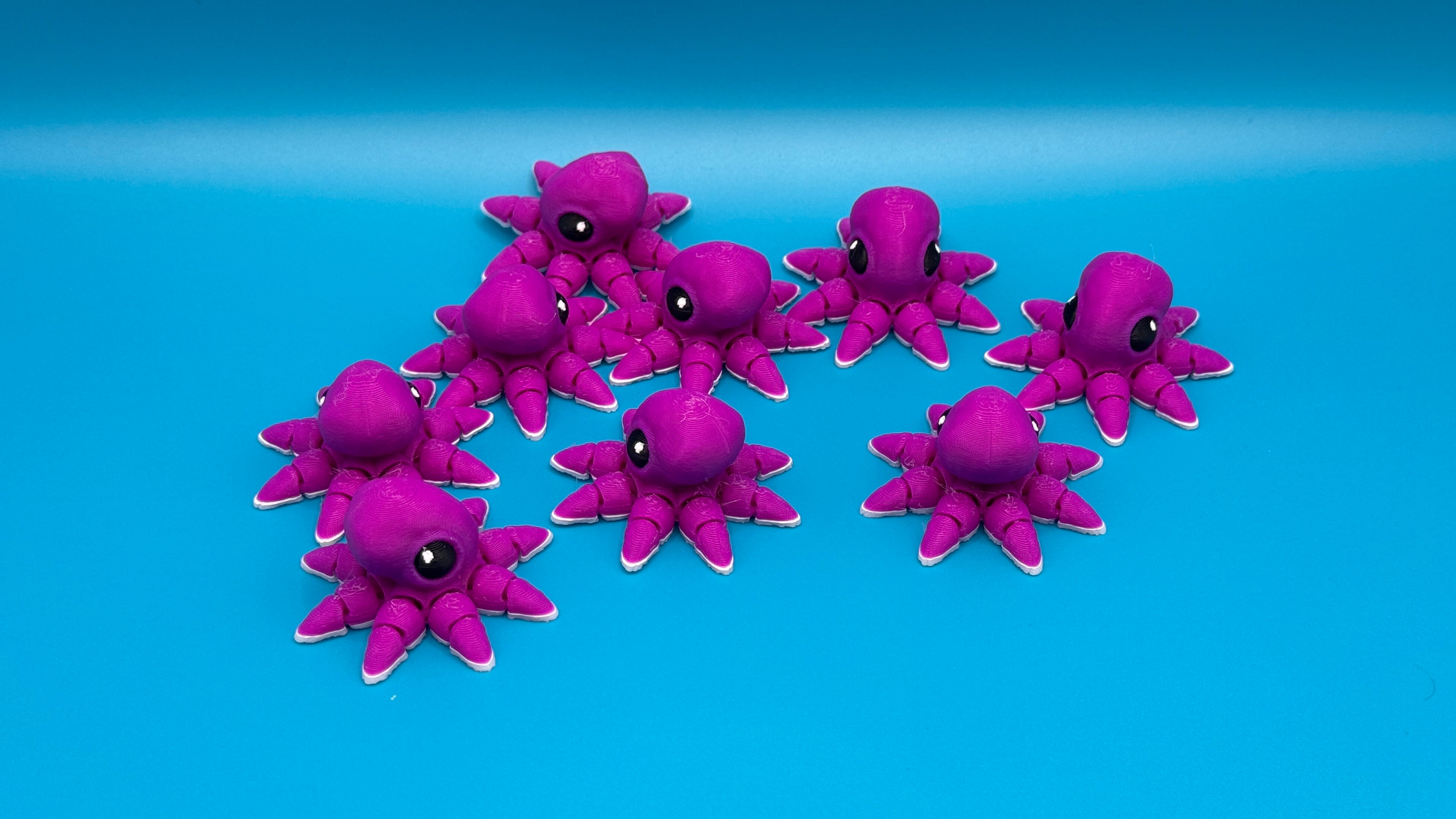 Octopus