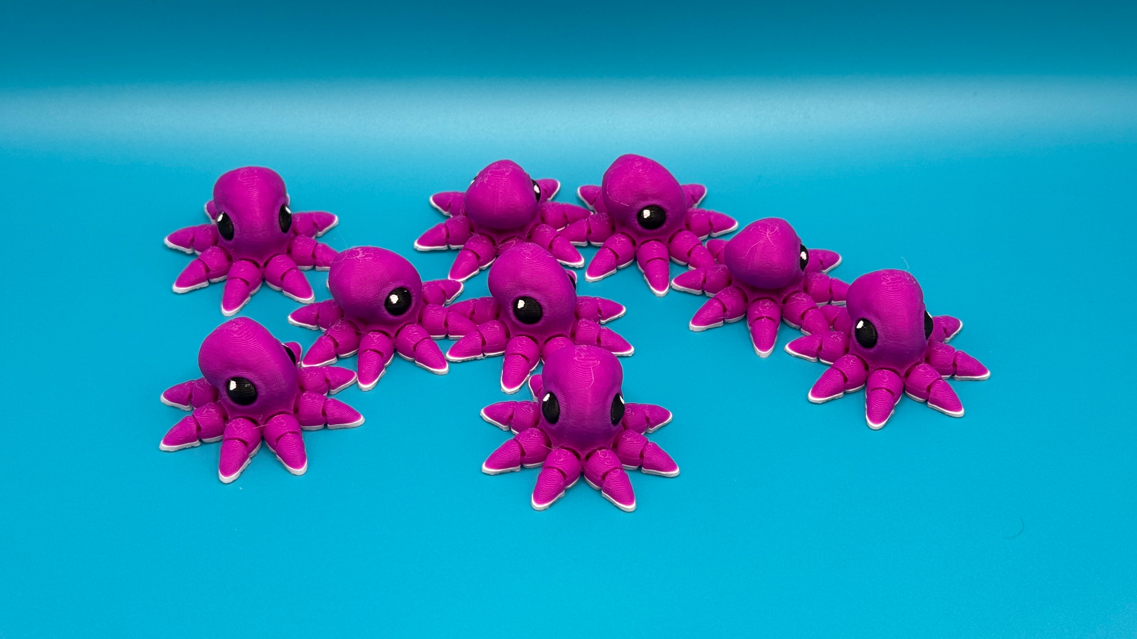 Octopus