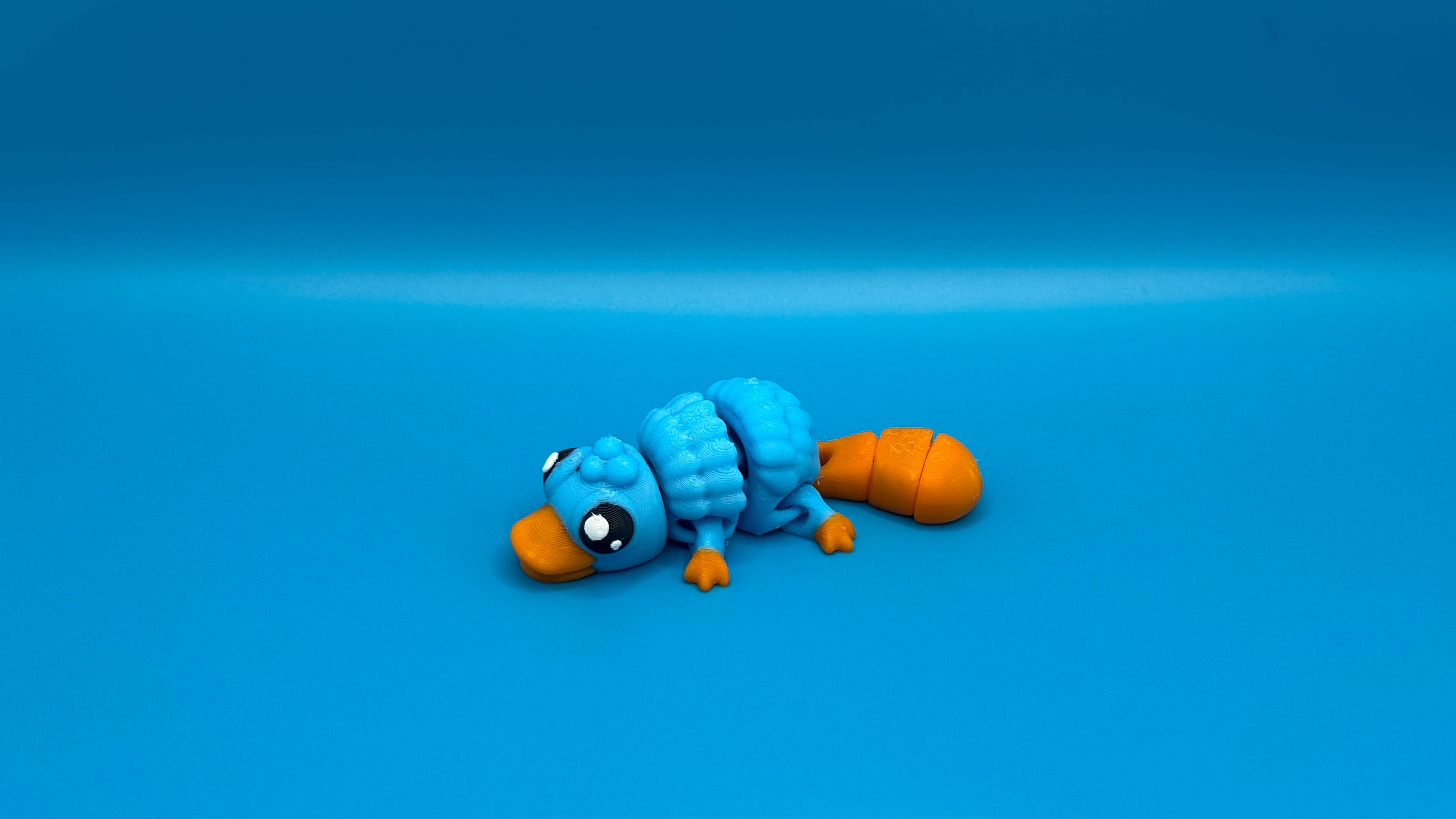 Platypus