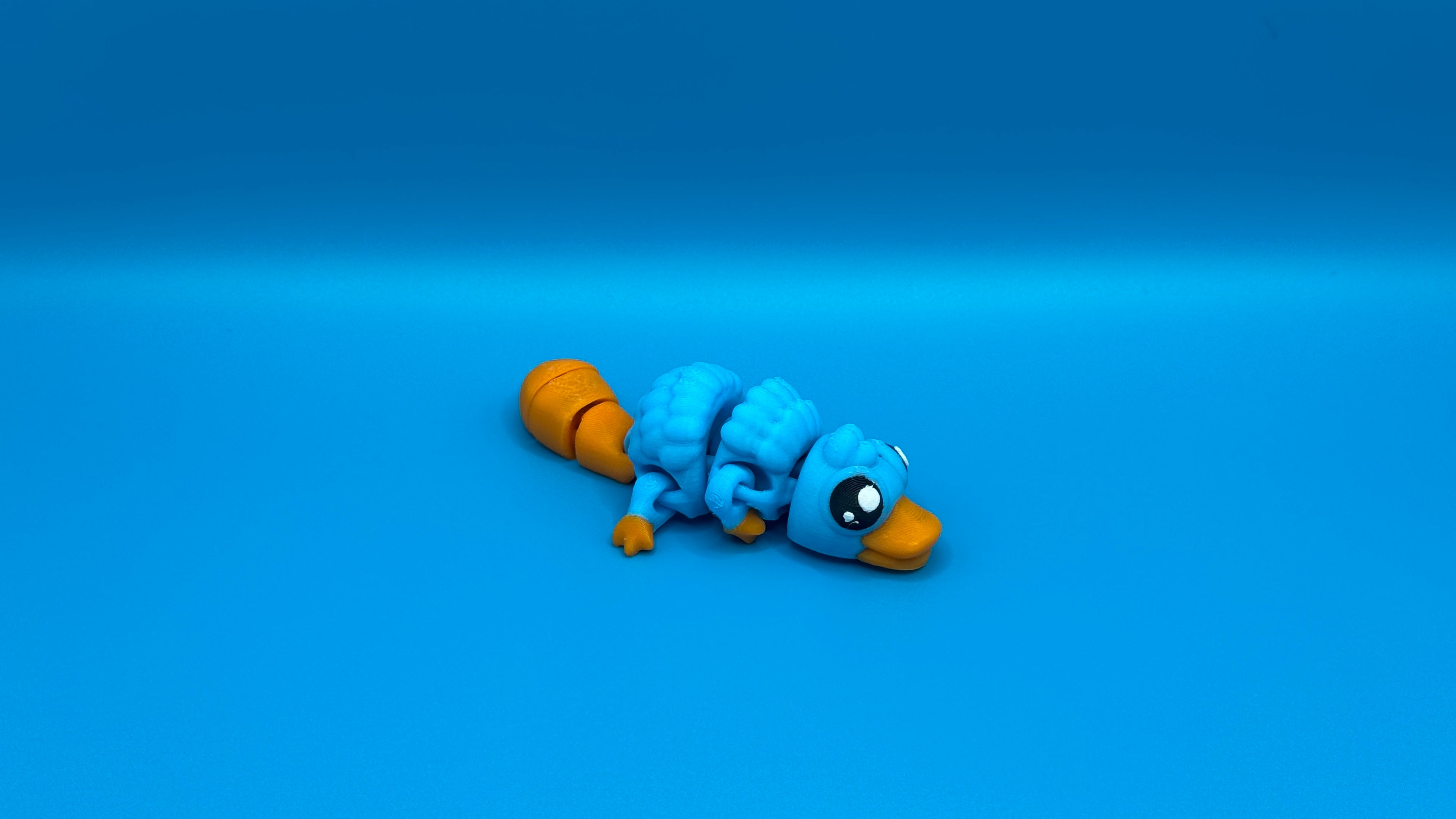 Platypus