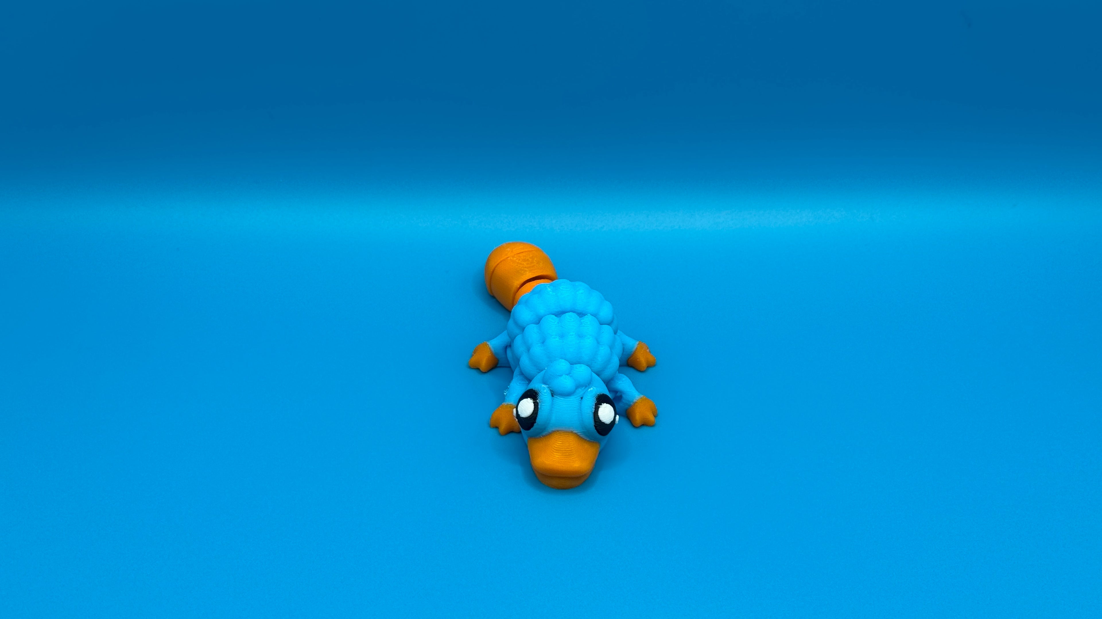 Platypus