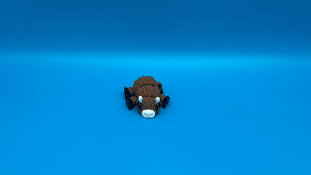 Highland Cow