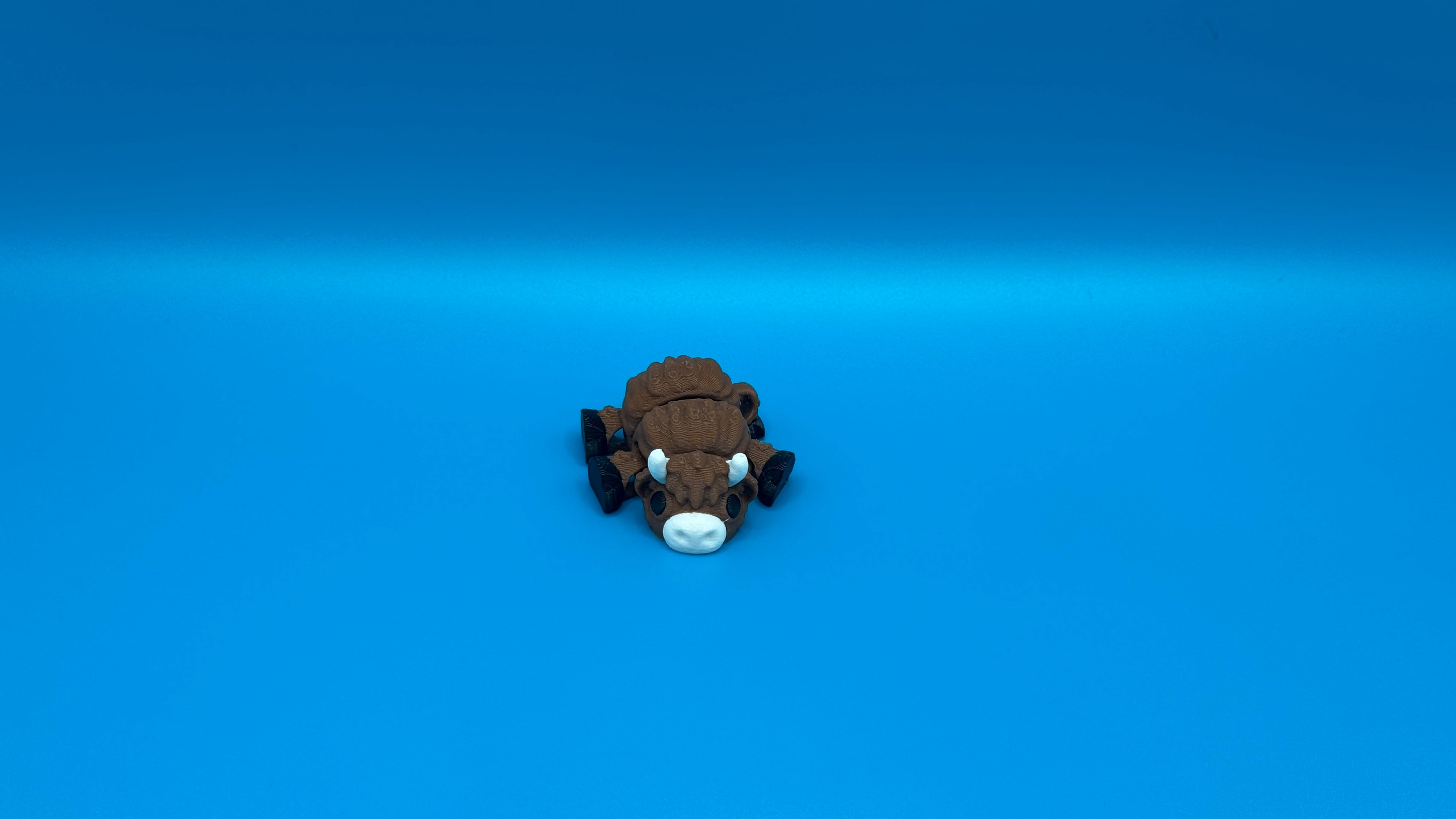 Highland Cow
