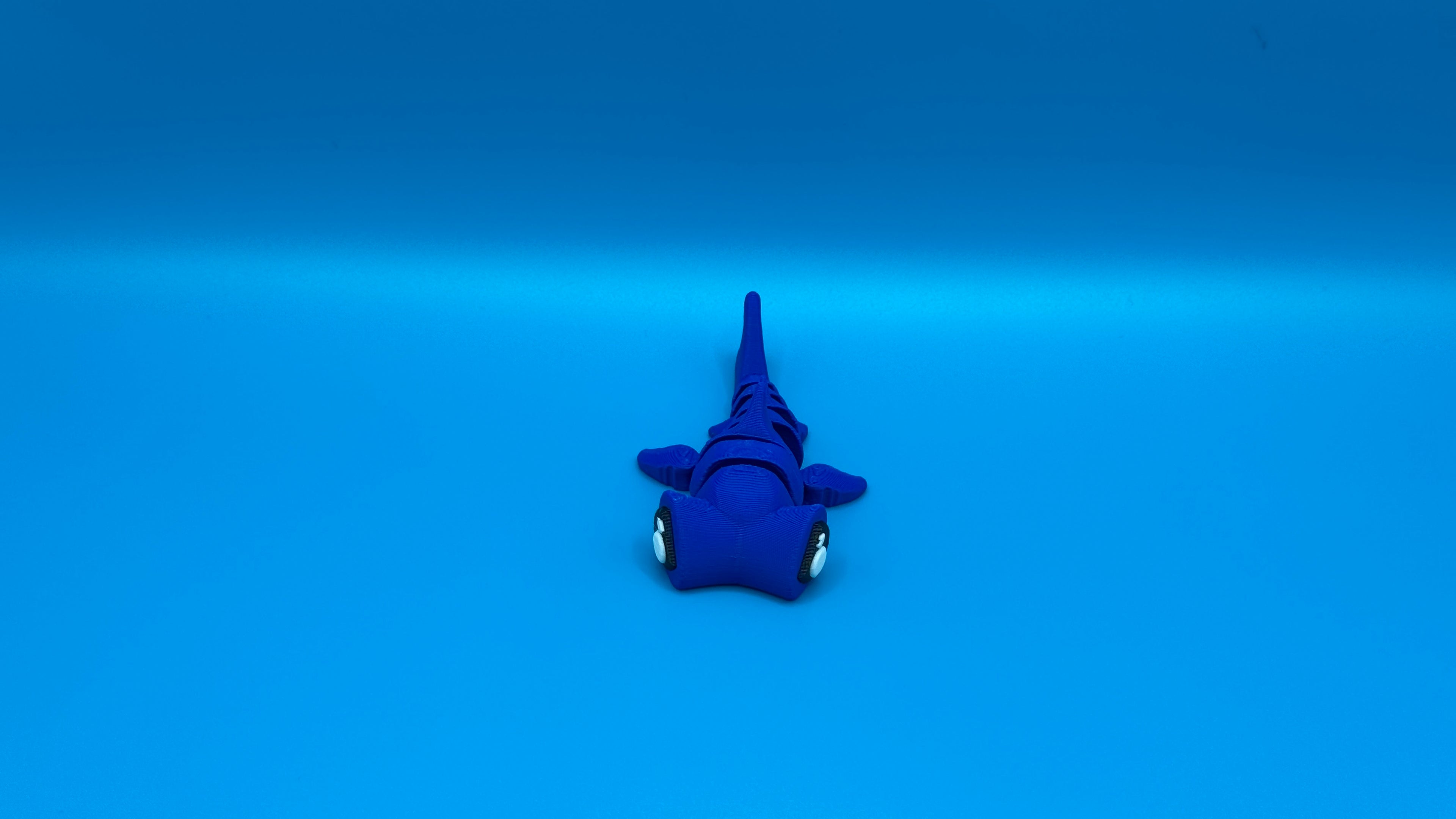 Hammer Head Shark
