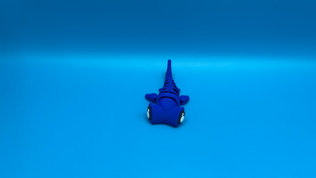 Hammer Head Shark